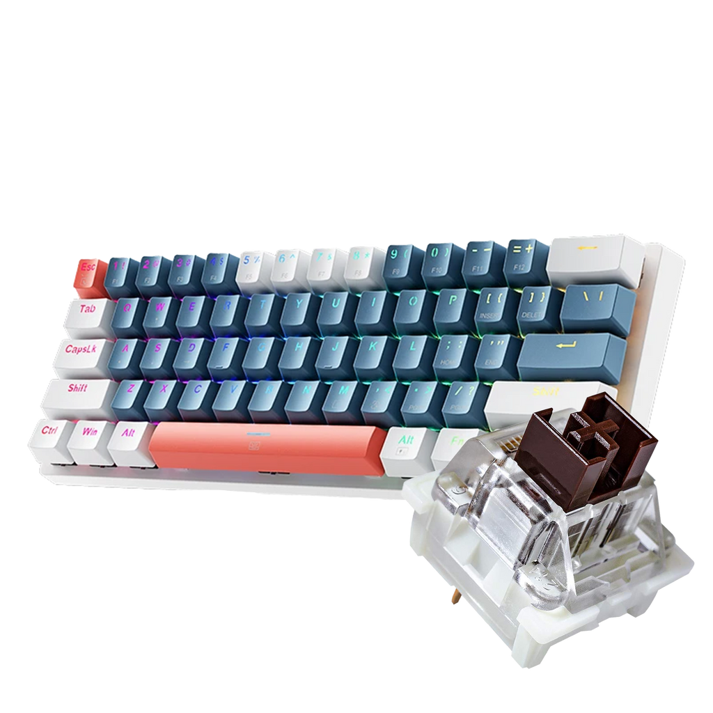 60% Hotswappable Keyboard (Various Switches)