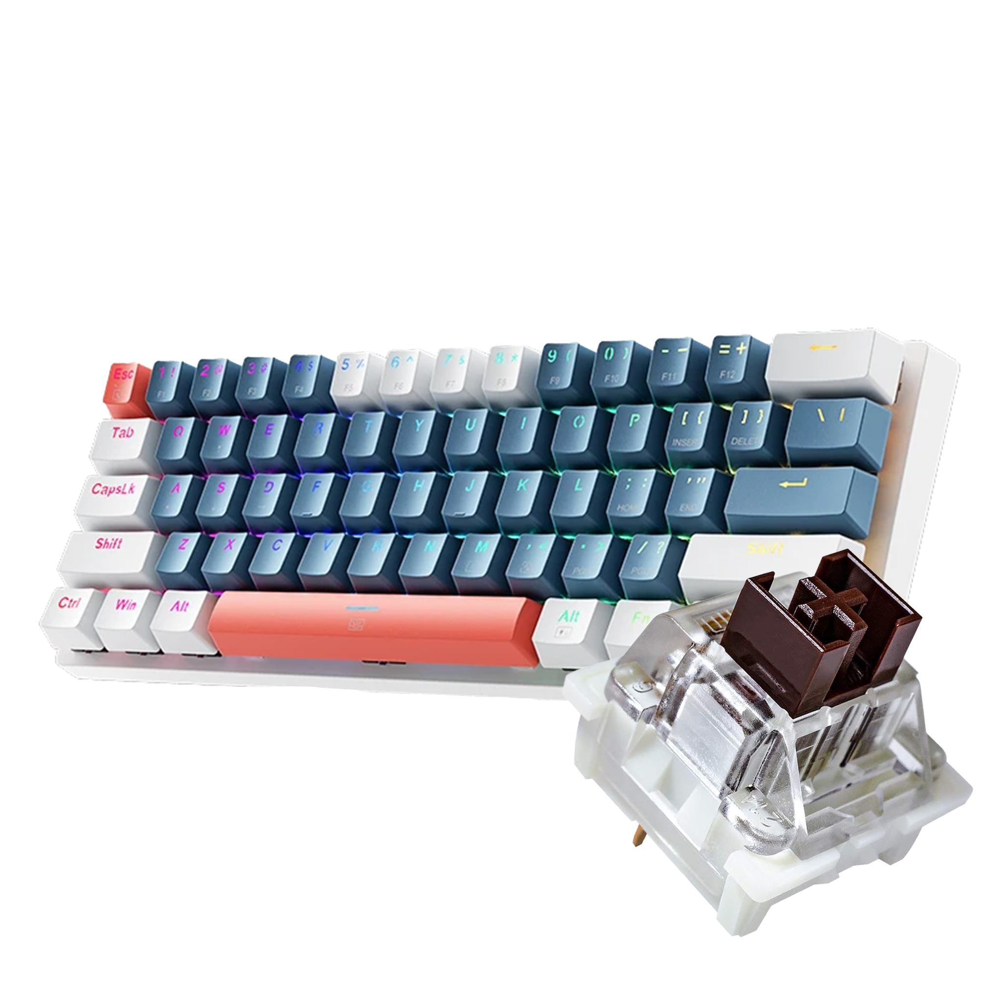 60% Hotswappable Keyboard (Various Switches)
