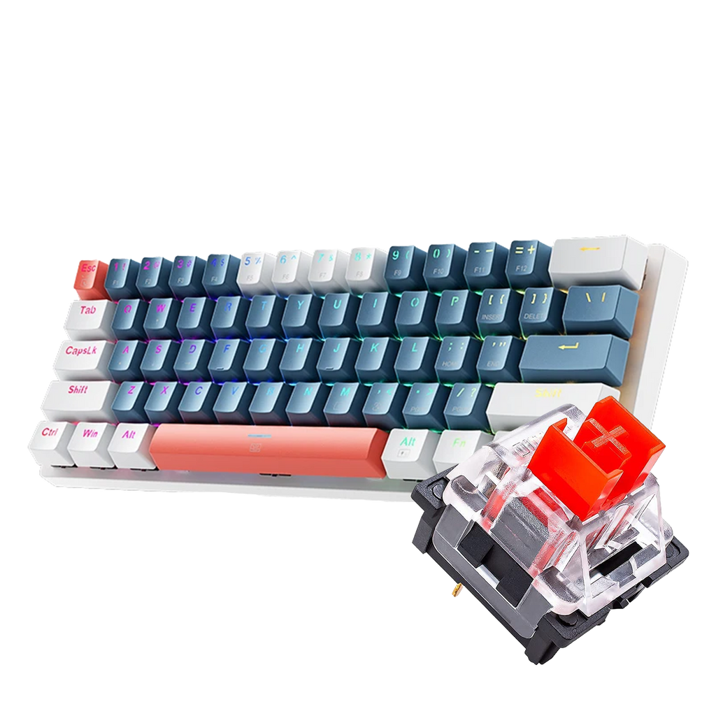 60% Hotswappable Keyboard (Various Switches)