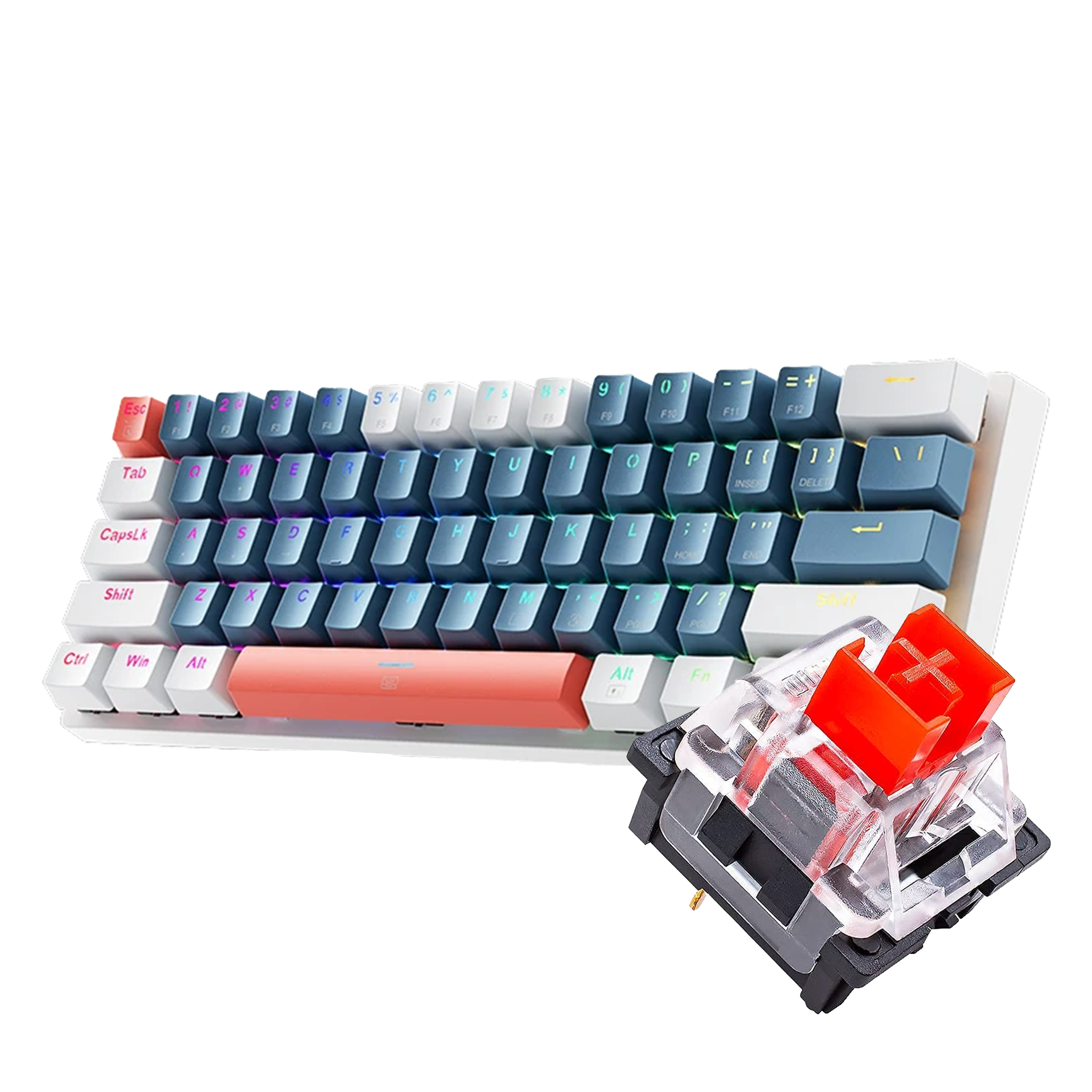 60% Hotswappable Keyboard (Various Switches)