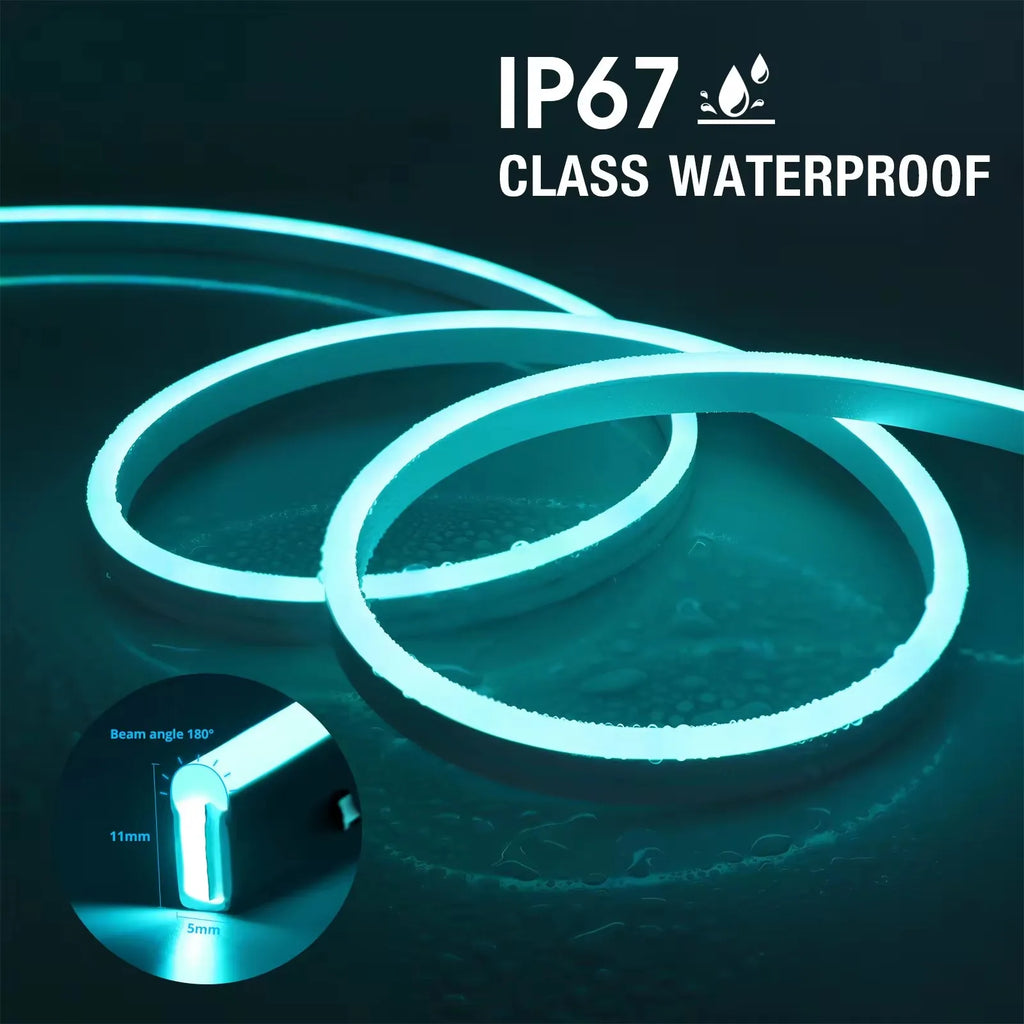 Neon LED Strip (5–20m)